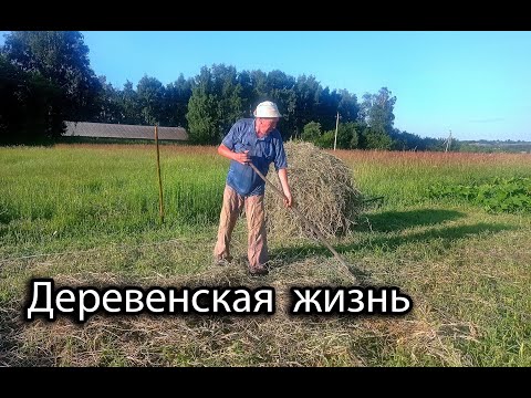Видео: ЖИЗНЬ В ДЕРЕВНЕ! Убираем сено, варим компот и прочие деревенские дела