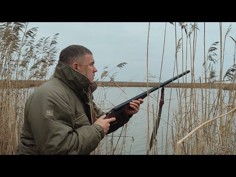 Видео: об ОХОТЕ на ВОЛКОВ,охота на утку,wolf hunting