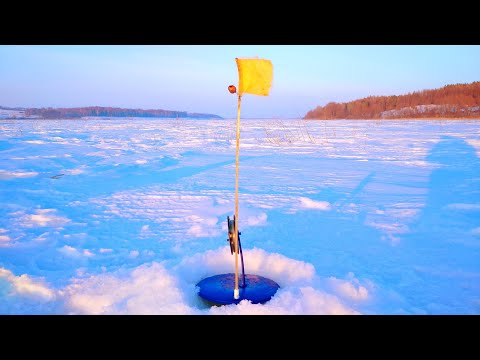 Видео: РЫБАЛКА НА ЖЕРЛИЦЫ РАННЕЙ ВЕСНОЙ.ВОКРУГ МНОГО КОСУЛЕЙ.