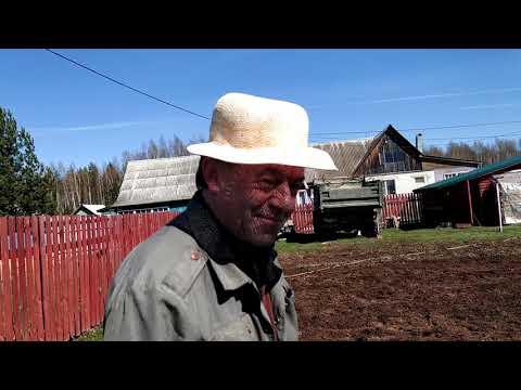 Видео: Вся надежда на культиватор"надежда"