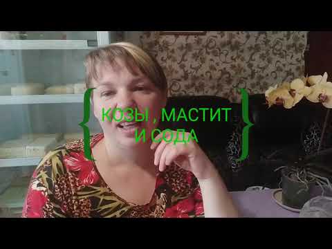 Видео: Козы, мастит и сода