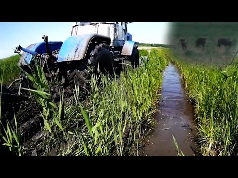 Видео: Утопил Т-150К, пришли КАБАНЫ, дискую "заболотье" в ночь