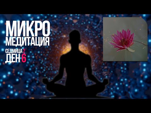 Видео: МИКРО МЕДИТАЦИЯ седмица 2 ден 6