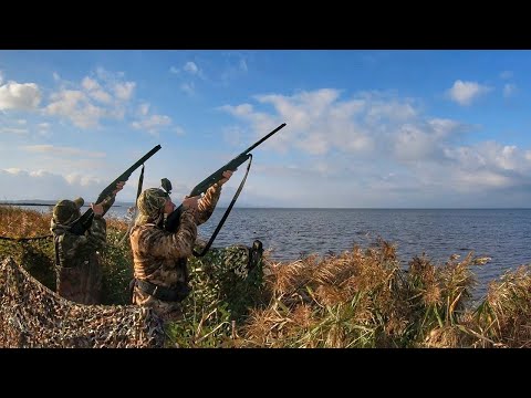 Видео: ШИКАРНАЯ ОХОТА на УТКУ в Приморье | Красивые налеты и дуплеты | Охота с ATA NEO 12