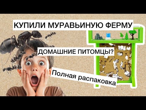 Видео: DIY муравьиная ферма, как построить муравейник? Домашняя муравьиная ферма для детей! распаковка