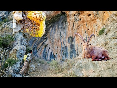 Видео: Охотники-кочевники ищут диких животных в древних пещерах