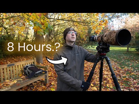 Видео: Сколько нужно ждать, чтобы сделать фотографию птицы? День полевой фотографии птиц (Великобритания)