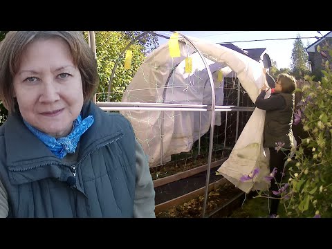 Видео: Без болтовни. Огурцов больше нет.  Сад готовлю к Зиме. Сад огород