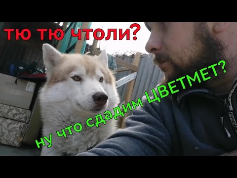 Видео: СДАЧА ЦВЕТМЕТА. ЗАРАБОТОЕ НА МЕТАЛЛОЛОМЕ. СКОЛЬКО МОЖНО ЗАРАБОТАТЬ НА МЕТАЛЛОЛОМЕ. ЦВЕТМЕТ КАК ХОББИ