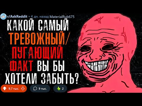 Видео: Какой Тревожный/Пугающий ФАКТ Вы Хотели бы Забыть? #2