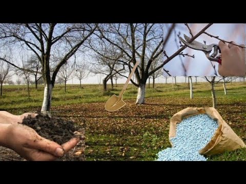 Видео: Вот те работы по саду, которые вам нужно выполнить прямо сейчас!