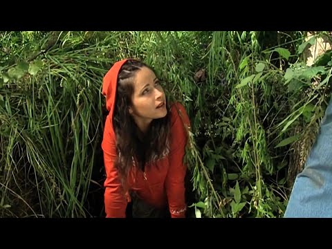 Видео: ФИЛЬМ! ДОЧЬ МИЛЛИОНЕРА СБЕЖАЛА ОТ ТЕЛОХРАНИТЕЛЯ! Киллер к юбилею (Я телохранитель)! Русский фильм
