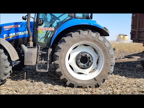Видео: New  Holland T5 110 S Тест-драйв с прицепом. Уборка подсолнуха