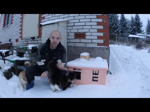 Видео: Кошкин дом. Новоселье, спустя 3 года.