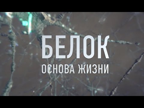 Видео: БЕЛОК. Основа жизни