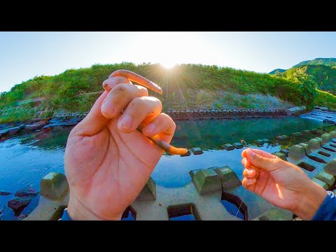 Видео: Угорь рыбалка с бесплатным кормом