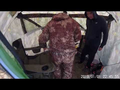Видео: #карп#тарангул#
