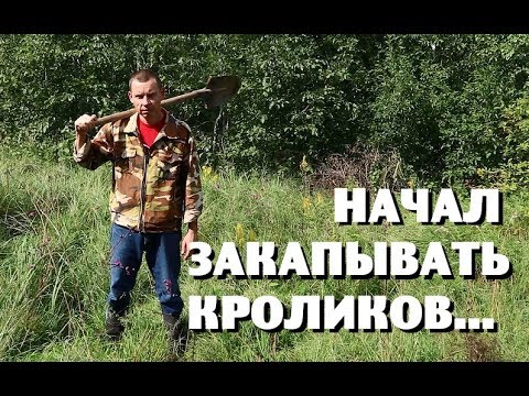 Видео: Мой кроличий бизнес ИЗДОХНЕТ?