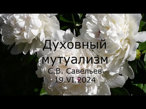 Видео: С.В. Савельев - Духовный мутуализм