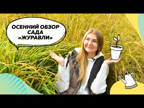 Видео: Обзора сада Журавли в октябре |  Ландшафтный дизайн | Ирис болотный | Аконит | Тимьян