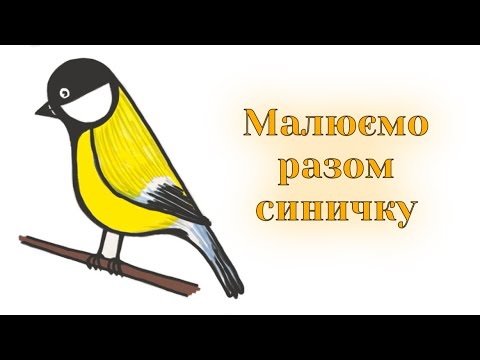 Видео: Як намалювати синичку легко /How to draw a titmouse easy step by step