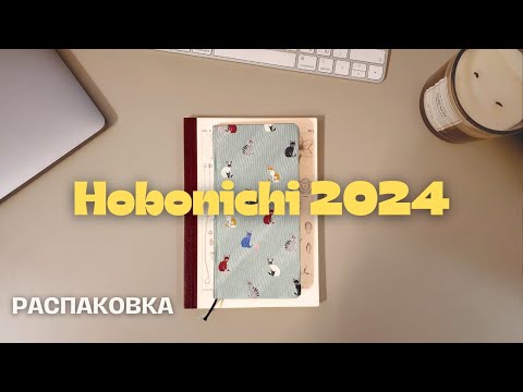 Видео: МОИ НОВЫЕ ЕЖЕДНЕВНИКИ 2024 | Как я веду ежедневник