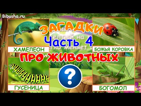 Видео: ЗАГАДКИ ПРО ЖИВОТНЫХ - Часть 4 | Загадки для детей