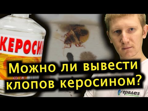 Видео: КЕРОСИН ОТ КЛОПОВ — проверяем эффективность
