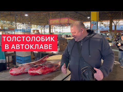 Видео: ТОЛСТОЛОБИК В АВТОКЛАВЕ) ТУШЕНКА ИЗ ТОЛСТОЛОБИКА В АВТОКЛАВЕ) НЕЖНЕЙШЕЕ МЯСО ТОЛСТОЛОБИКА В БАНКЕ)