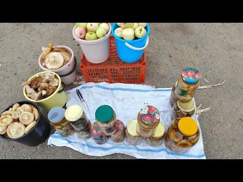 Видео: Хроника дня // Торговля на трассе // 