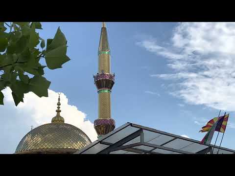 Видео: Нафие Косин - село Брезница