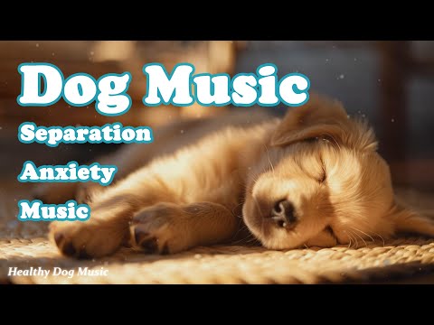 Видео: Музыка для глубокого сна у собак💖🐶Музыка для снятия тревожности при разлуке с собакой🐶