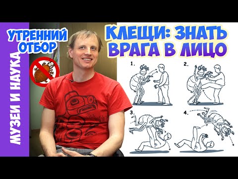 Видео: Знакомьтесь - клещ! Тимофей Левченко