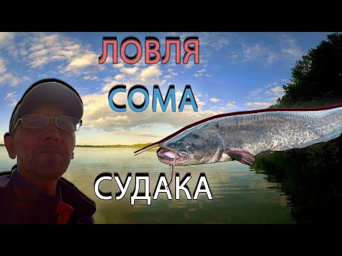 Видео: ЛОВЛЯ СОМА И СУДАКА НА ПЕРЕМЁТ . РЕКА ВОЛГА ШИРИНА 12КМ