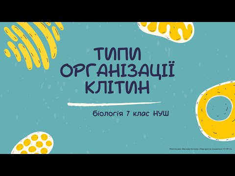 Видео: Біологія 7 клас НУШ Типи організації клітин