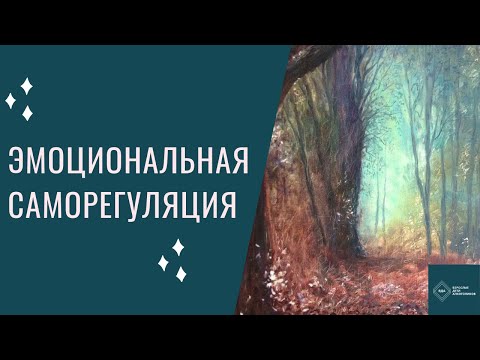 Видео: Эмоциональная саморегуляция.