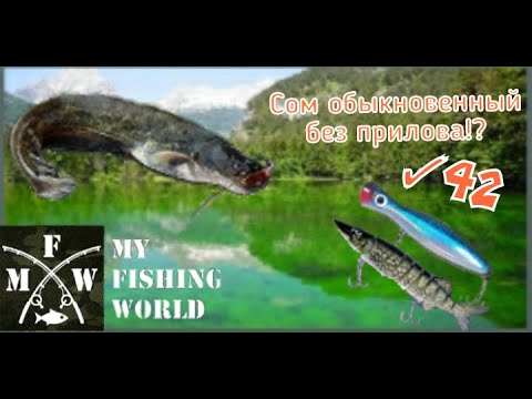 Видео: 42) My Fishing World Сом обыкновенный без прилова!?