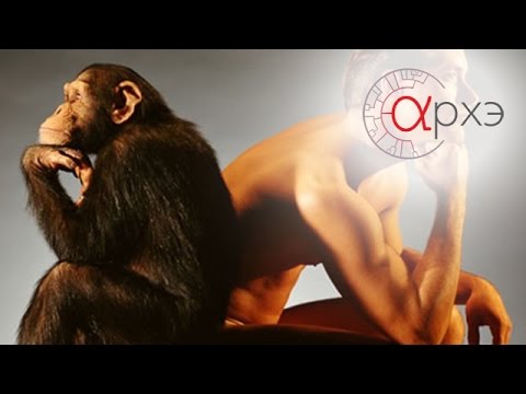 Видео: Елена Гороховская: Введение в этологию человека