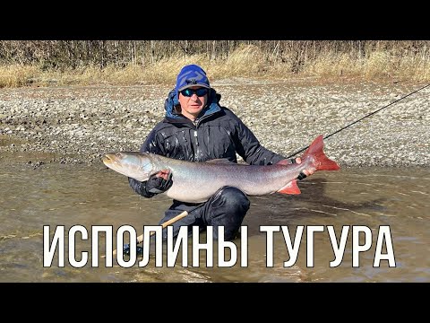 Видео: Исполины Тугура (таймень, рыбалка)