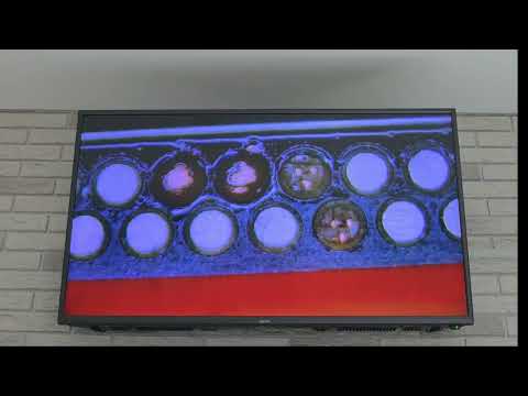 Видео: iPhone 13 нет сети отрыв пятоков по раме, ремонт 