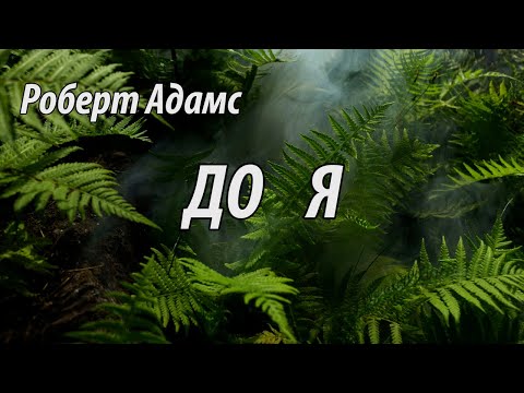 Видео: До я (Роберт Адамс.НикОшо)