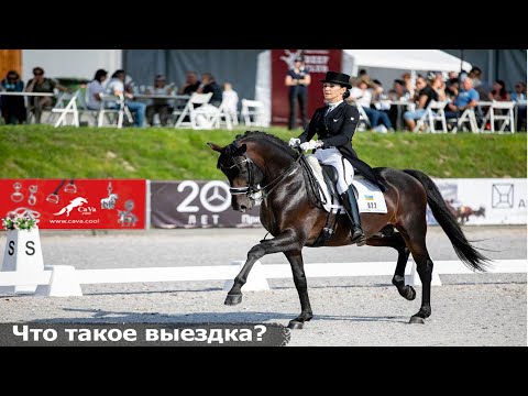 Видео: Что такое выездка!! "от любви до профессионализм