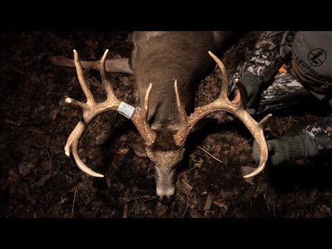 Видео: САМЫЙ БОЛЬШОЙ САМОЛЕЦ СЕЗОНА 162 дюйма. Самец позднего сезона в Айове.