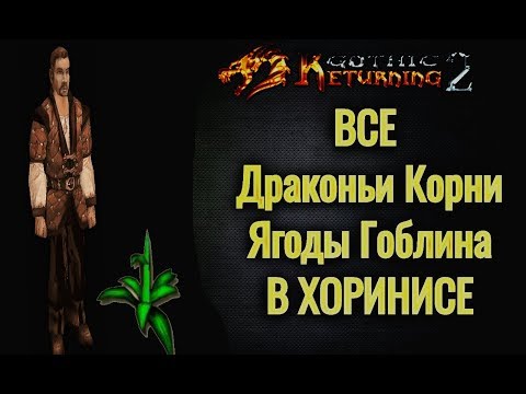 Видео: ХОРИНИС: Все Ягоды Гоблина и Драконьи Корни | Готика2  Gothic2[R2+AB]