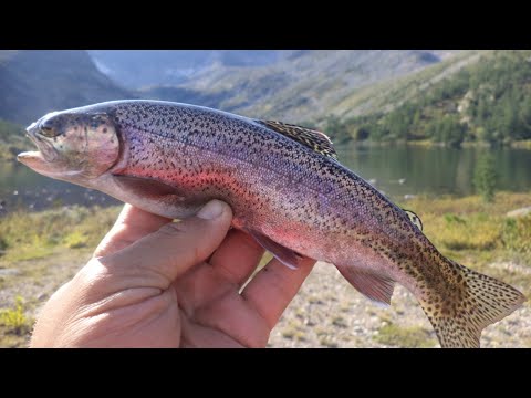 Видео: Поход с рыбалкой на Поднебесные Зубья. Ретро фильм 2011 года на старую камеру