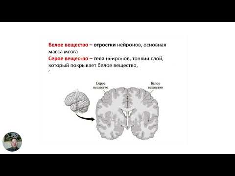 Видео: Ақша шақырудың Америкалық методикасы 2 күн