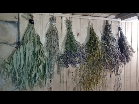 Видео: Ароматерапия в бане.