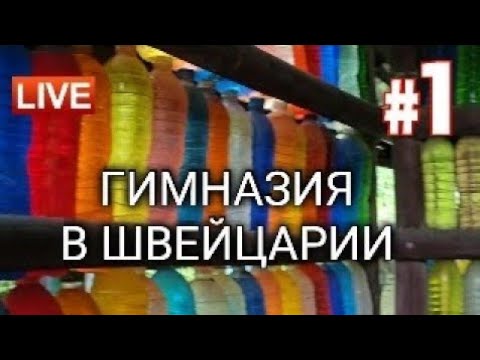 Видео: гимназия в швейцарии| как поступить и нужно ли