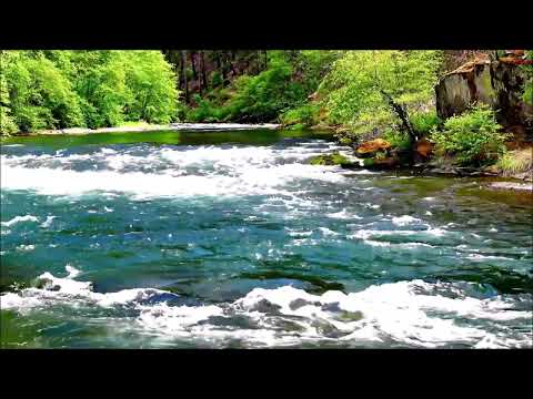 Видео: Замечательный Фильм о Дикой Природе * Расслабляющие Звуки Реки