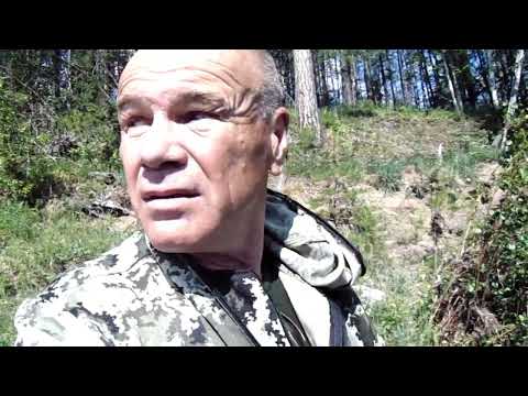 Видео: Иду по берегу реки Алдан пока не застанет ночь